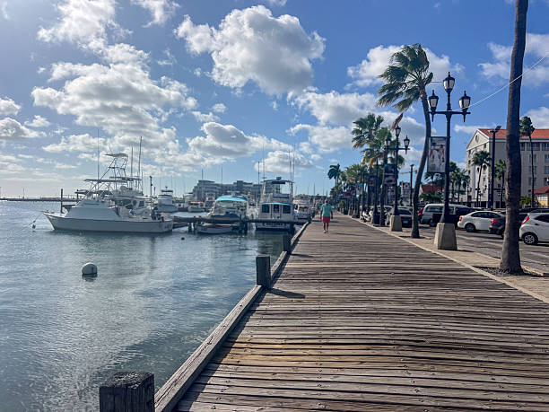 istock Scenic Marina Boardwalk with Boats Docked Under Blue Sky 2210731910