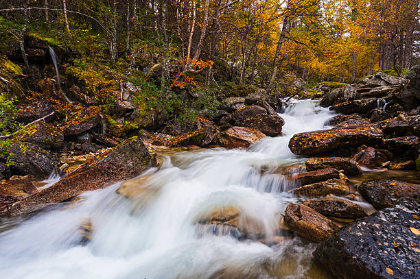 Crystal-clear waters rush over rocks in an autumnal river in Norway.