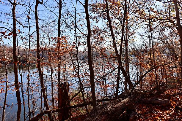 istock Lake in the Woods 2210742377