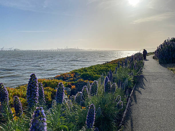 istock A view from the park to the city 2210742751