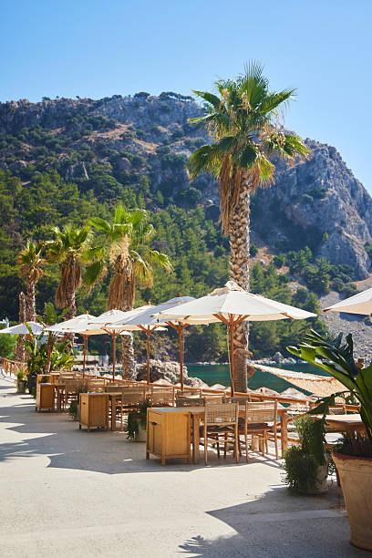 istock Cafe on the beach in Turkey. Tall palm trees. 2210742873