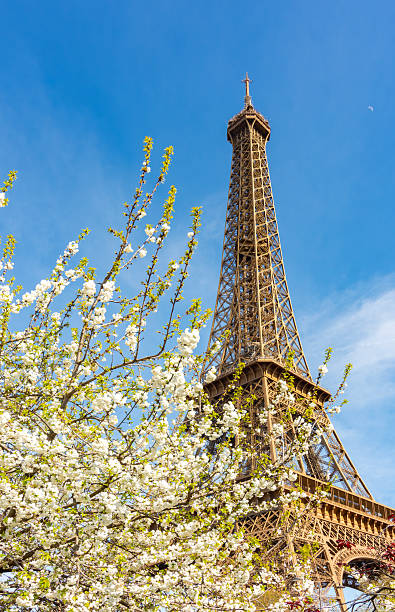 istock Eiffel Tower in spring, Paris, France 2210743109