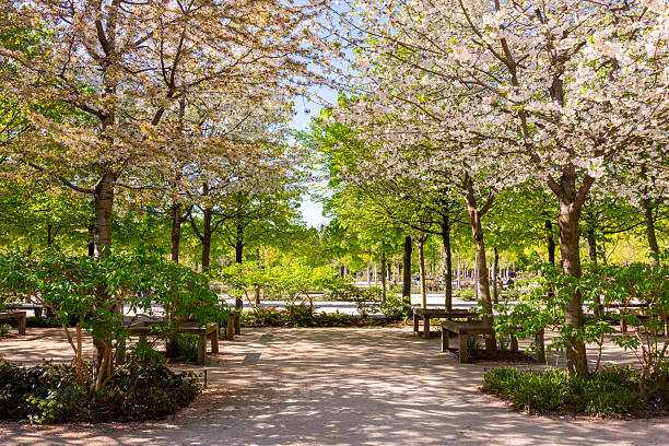 Tuileries gardens in spring, Paris, France
