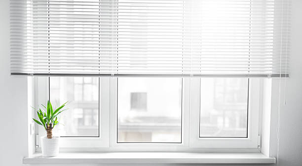 istock A potted yucca plant on a windowsill. The window is covered with white blinds, and the view outside on sity 2210743562