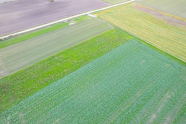 abstract patterns of agricultural fields from a high angle, many crops in spring