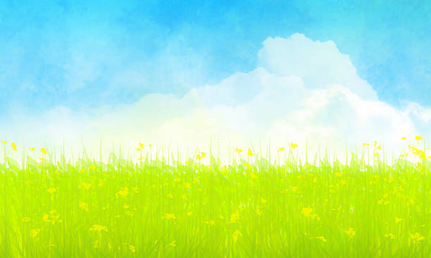 istock Spring and Summer Day with Grass Meadow, Cumulus Clouds, Blue Sky Watercolor 2210751276