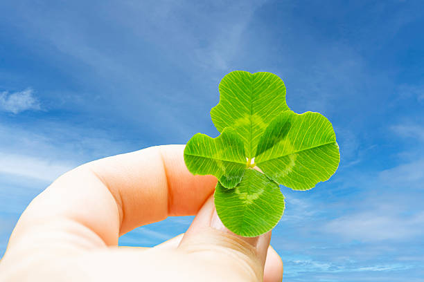 istock four-leaf clover in close-up against the sky in a woman's hand 2210752232