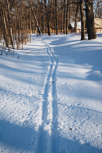 In a peaceful and serene winter landscape, a snowy path adorned with gentle tire tracks invites a moment to pause, reflect, and deeply appreciate the breathtaking and stunning beauty of nature