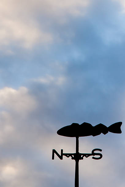 Weather vane on Seahouses harbour wall.