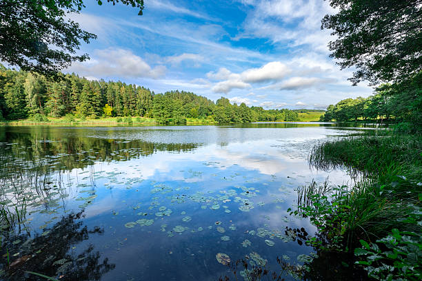 istock Beautiful summer day over the lake 2210765433