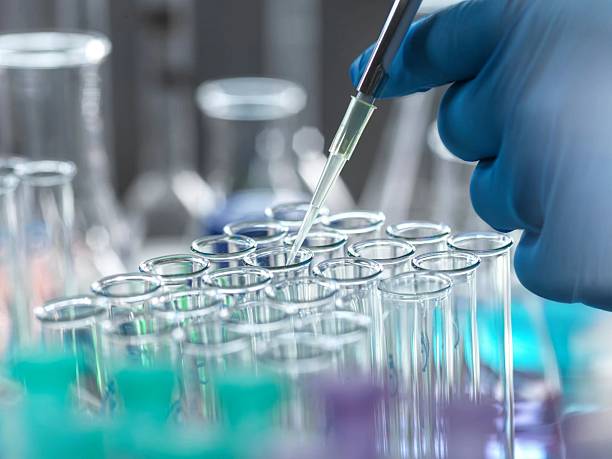 istock A scientist using a pipette to add a liquid sample into test tubes in a laboratory setting. 2210769455