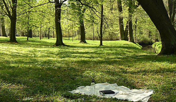 istock Laptop and Water Bottle on Blanket in Quiet Green Park, Remote Work Concept 2210769685
