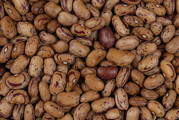 istock Raw pinto beans (phaseolus coccineus) from Lanzarote, Spain, close-up presentation 2210785071