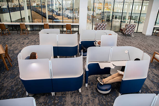 Students and community members use privacy cubicles to study without being disturbed