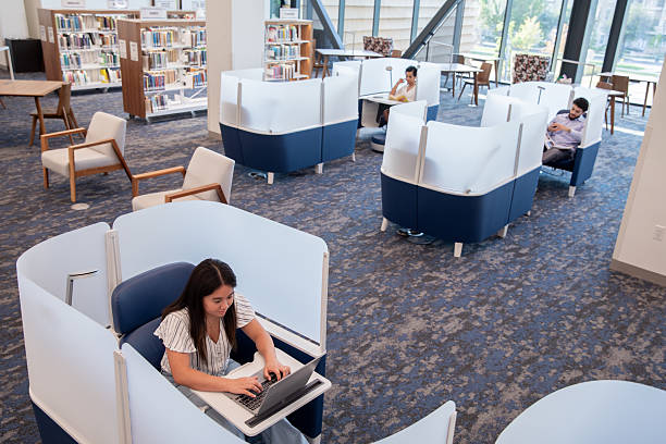 Free picture: seating, options, bookshelves, conservation, library