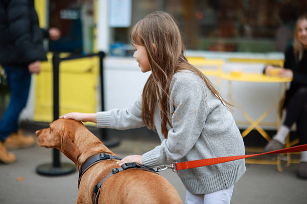 Little girl playing with dog Family has breakfast in the cafe with their dog three way kiss stock pictures, royalty-free photos & images