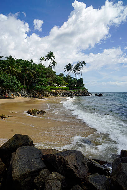 istock tropical beach sri lanka 2210787234