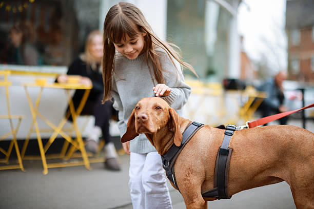 Little girl playing with dog Family has breakfast in the cafe with their dog three way kiss stock pictures, royalty-free photos & images