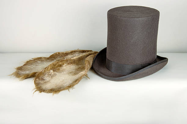 Felted  ears on a top hat.  White rabbit or march hare hat. Bunny ears attached to the top hat on wooden stand. Hatter Headdress for Alice in wonderland.
