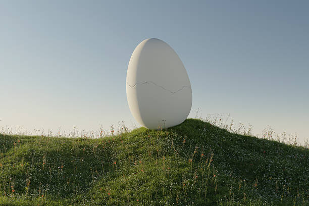 large cracked egg on flower meadow in front of a blue sky. Happy easter concept. 3D Rendering