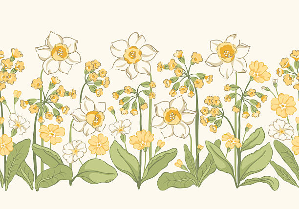 Download Cowslip, Yellow, Spring. Royalty-Free Stock Illustration Image ...