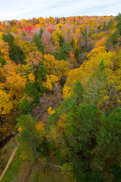 istock Cut River Valley in Autumn, Michigan 2210802102