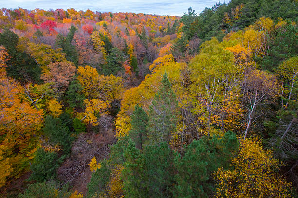 istock Cut River Valley in Autumn, Michigan 2210802156
