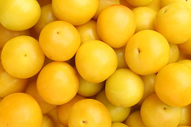 istock Many fresh plums as background, top view 2210803973