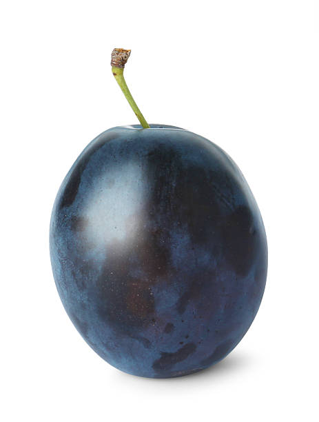 istock One tasty plum isolated on white. Fresh berry 2210804009