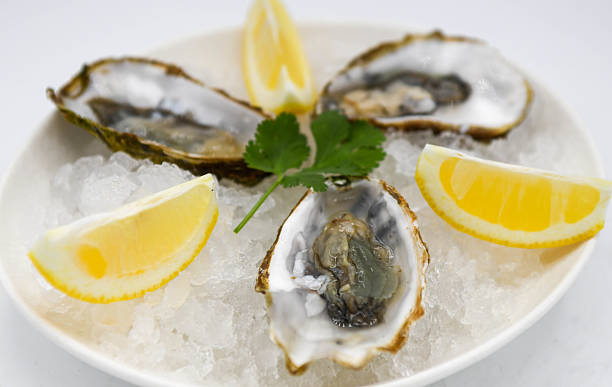istock Fresh oysters on ice with lemon and parsley on white background 2210806750