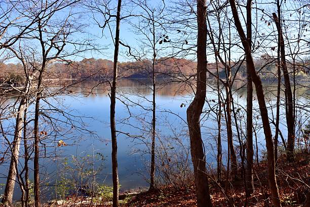 istock View of the Lake 2210808404