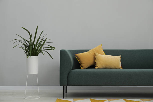 istock Stylish room interior with comfortable sofa and houseplant 2210809156
