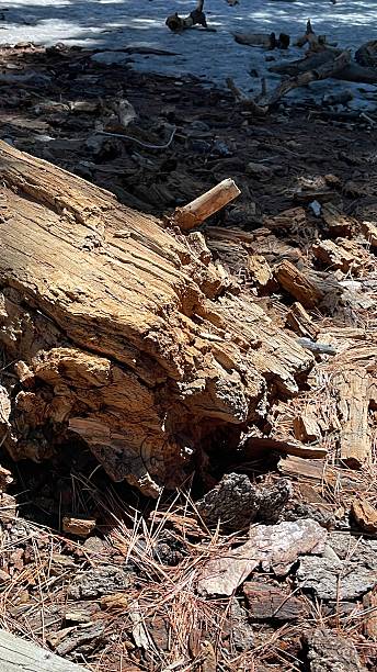 istock Textures of aged wood 2210811875