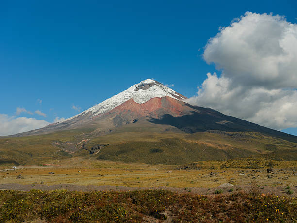 istock Paramo in Cotopaxi National Park in Ecuador 2210818642