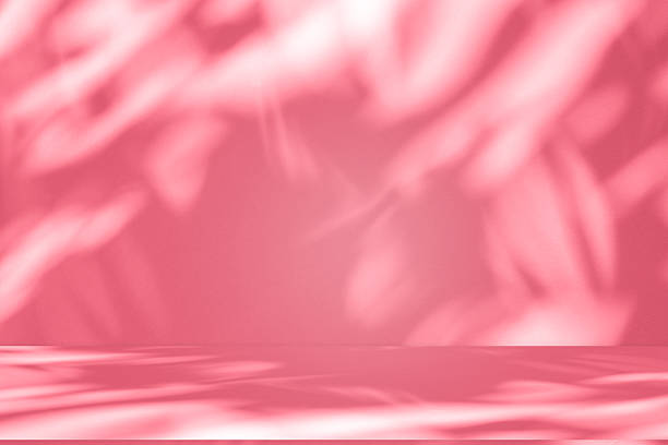 istock Wall interior background, studio, and backdrops show products. with shadow from window color white and pink light. background for text insertion and presentation of product 2210819634