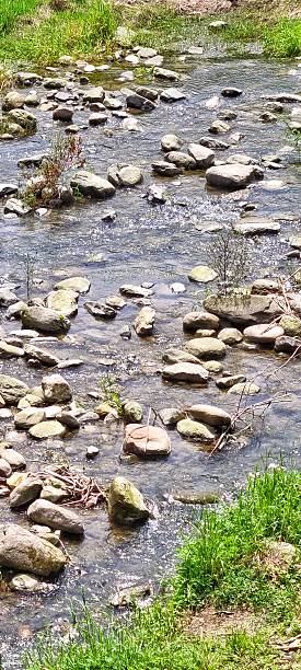 istock Shallow creek flowing over rocks and through grassy banks 2210820021
