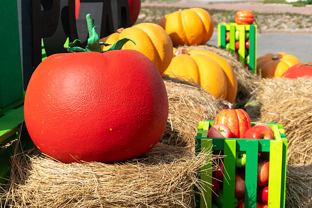 istock Harvest festival decorations with artificial pumpkins on hay 2210824415