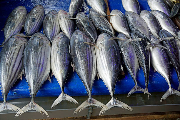 market in sri lanka