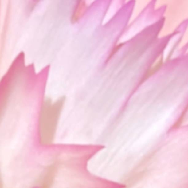 istock Defocused of petal for natural background 2210828300
