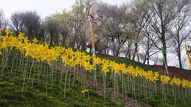 istock A scenic hillside covered in bright yellow pinwheels, with a few larger multicolored pinwheels scattered among them, creating a playful and dynamic visual. 2210831482