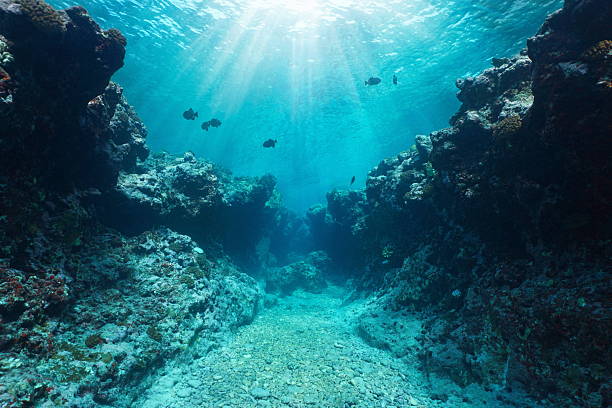 istock Canyon underwater in the reef with sunlight natural scene 2210834158