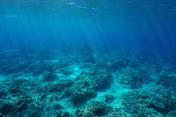 istock Ocean floor natural underwater background in the south Pacific ocean 2210835788