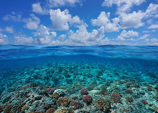 istock Pacific ocean seascape coral reef underwater with blue sky and cloud 2210836047