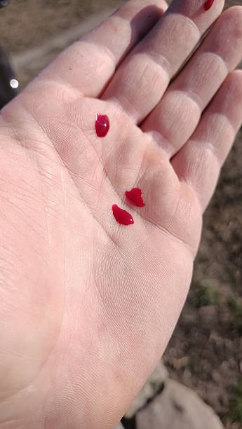 Vibrant and Striking Red Seeds Held in the Hand, Perfectly Set in a Natural Outdoor Environment