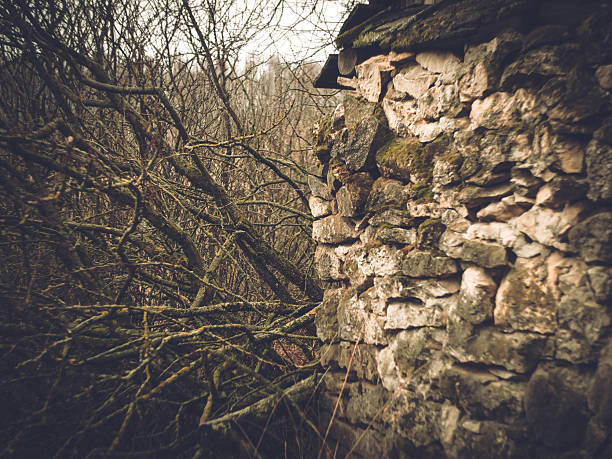 Old village building in spring in Russia, Lomography