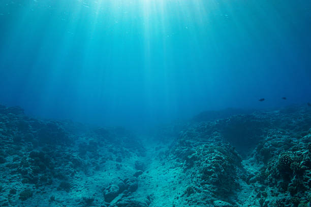 istock Rocky reef ocean floor with sunlight natural underwater background 2210836492