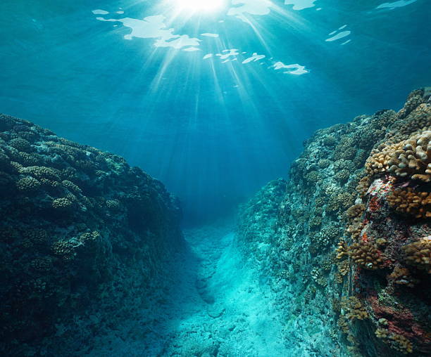 istock Sunlight underwater with a trench in the coral reef Pacific ocean 2210839165