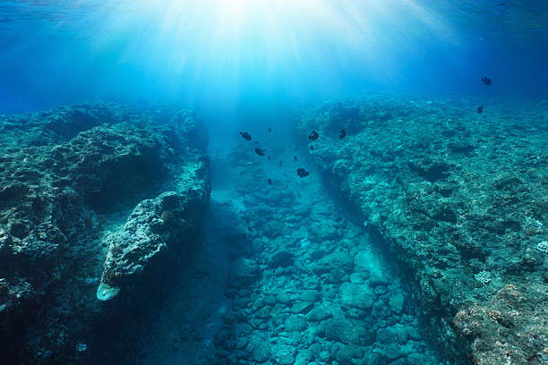 istock Trench in rocky ocean floor with sunlight underwater seascape Pacific 2210839472