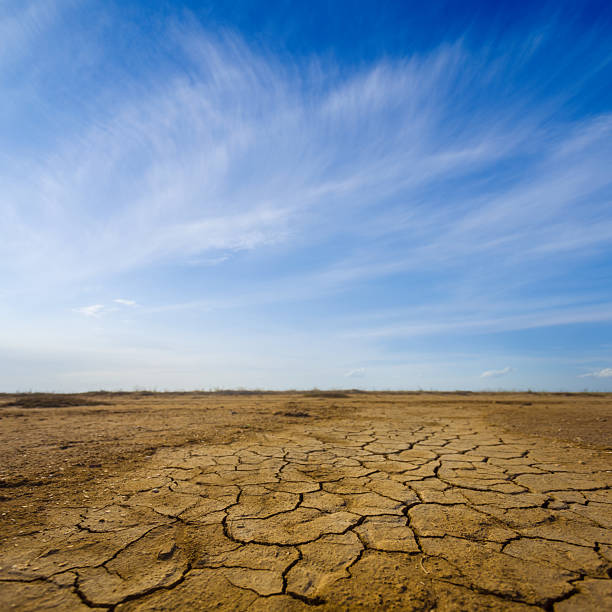 Man and floating fish in desert