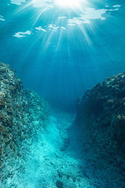 istock Underwater trench in the reef with sunlight Pacific ocean 2210841288